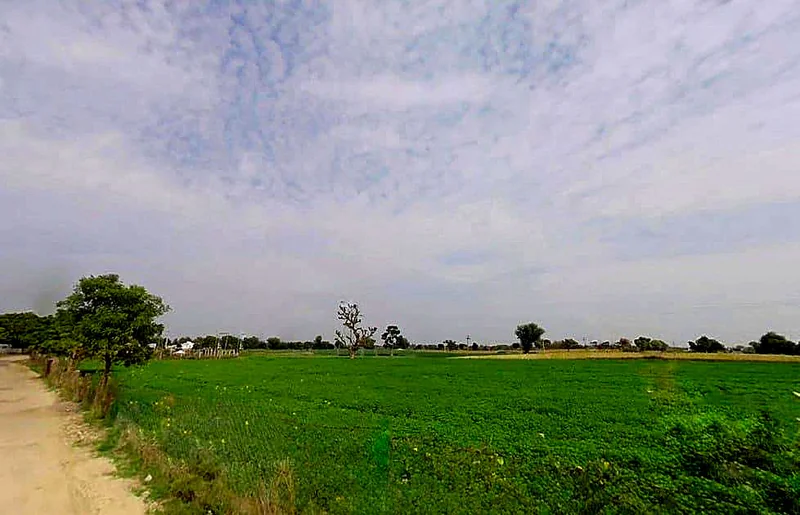 Jan Path, Pratik Nagar, Jhotwara, Jaipur, Rajasthan 302012, India preview 2