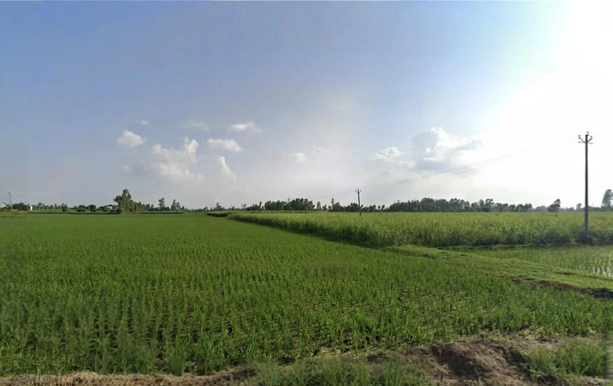 Hinotiya Jagir, Madhya Pradesh 462101, India preview 3