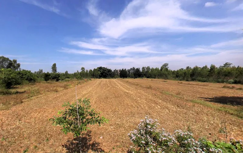 Nelamangala Town, Karnataka 562123, India preview 3