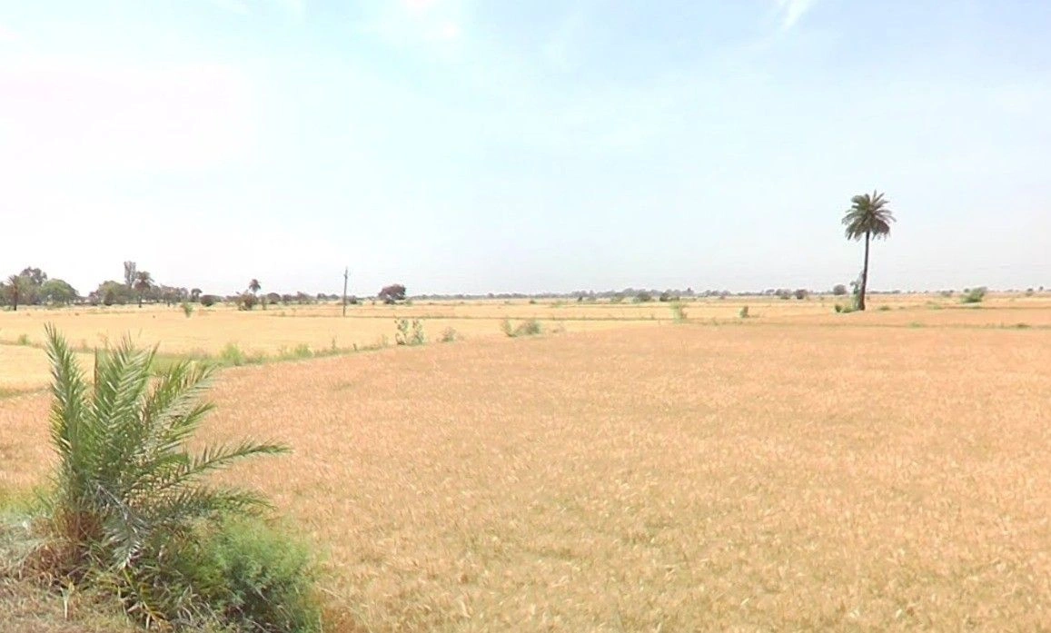 Badagaon, Gwalior, Madhya Pradesh 474006, India