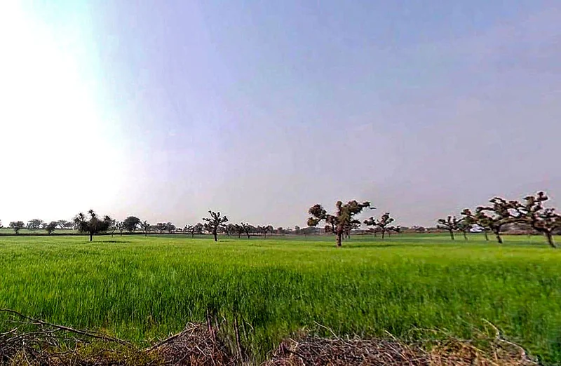 Nawa Bypass Hwy, Mohanpura, Rajasthan, India preview 3