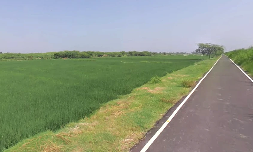 Rohina Singhapur, Uttar Pradesh 202121, India