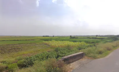 Khushpuri, Haryana 122108, India preview 2