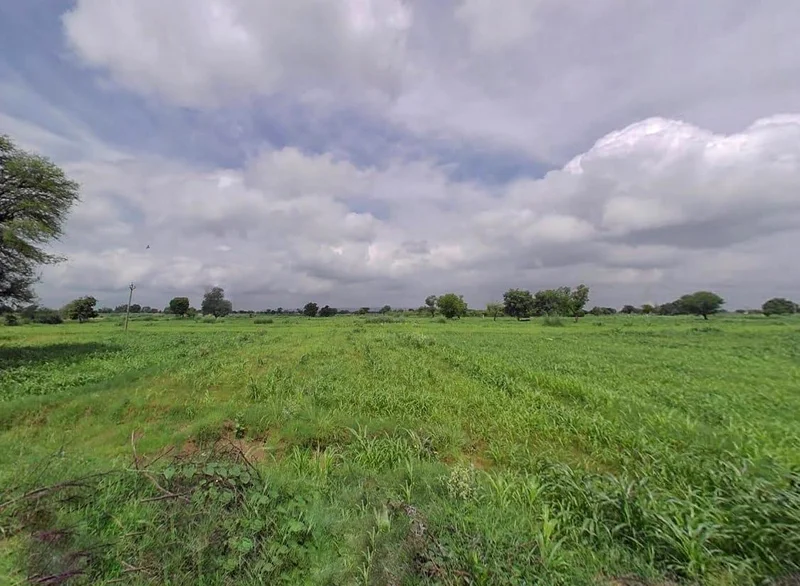 NH 21, Amoli, Moodiya Jat, Rajasthan 321407, India preview 3