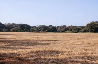 7JR9+7F Doddagollahalli, Karnataka, India