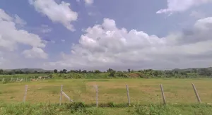 Achrol, Rajasthan 303002, India preview 3