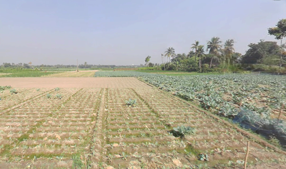 Berachampa, West Bengal 743424, India