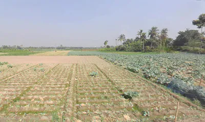 Berachampa, West Bengal 743424, India preview 2