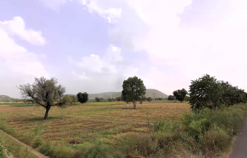 784W+MGX, Rambas, Haryana 123027, India preview 2