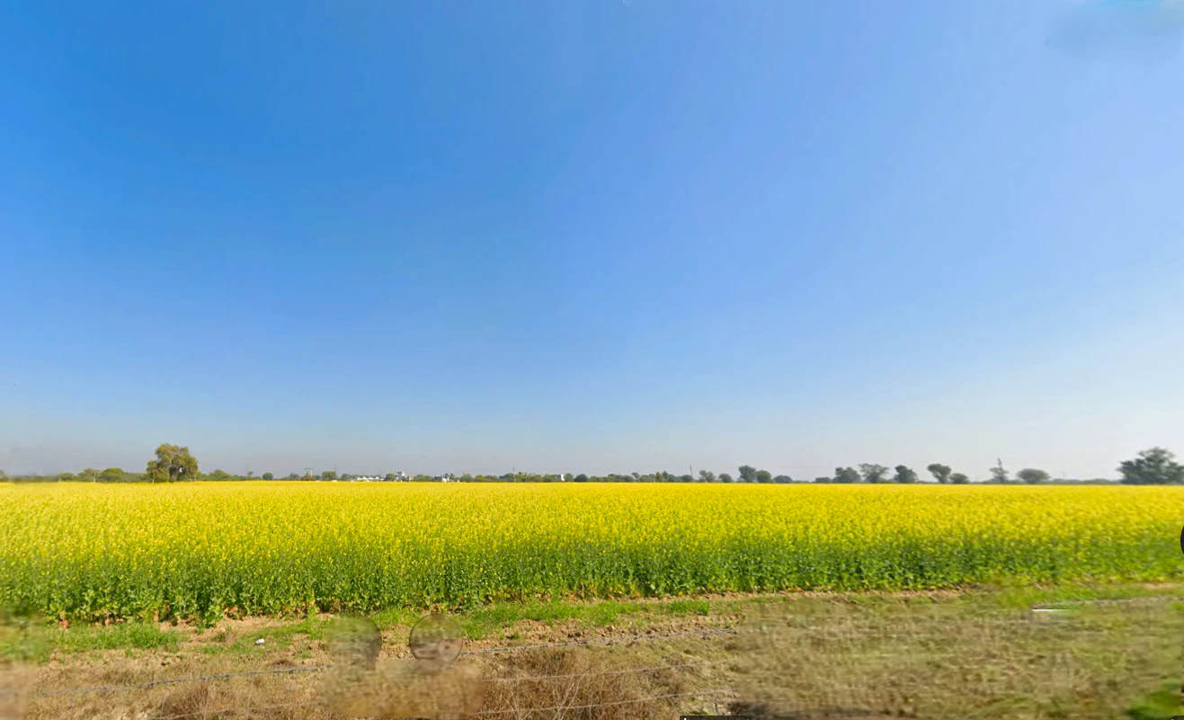 Ghatwada, Rajasthan, India