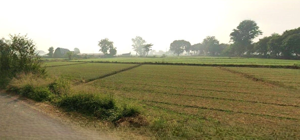 Mohanlalganj, Uttar Pradesh 226301, India