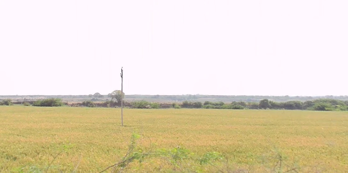 Suwarkota, Madhya Pradesh 465001, India