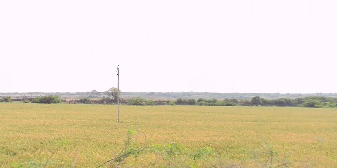 Suwarkota, Madhya Pradesh 465001, India