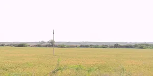 Suwarkota, Madhya Pradesh 465001, India preview 3