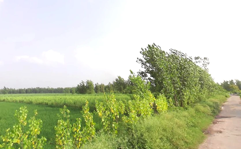 Sarsawa, Uttar Pradesh 247232, India
