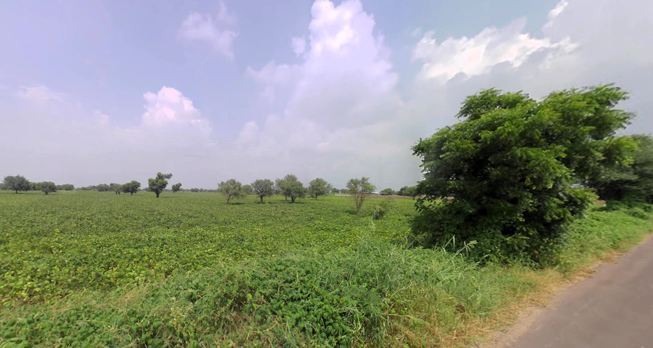 Lilas, Haryana 127046, India
