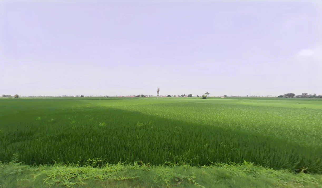 Pabnawa, Haryana 136020, India