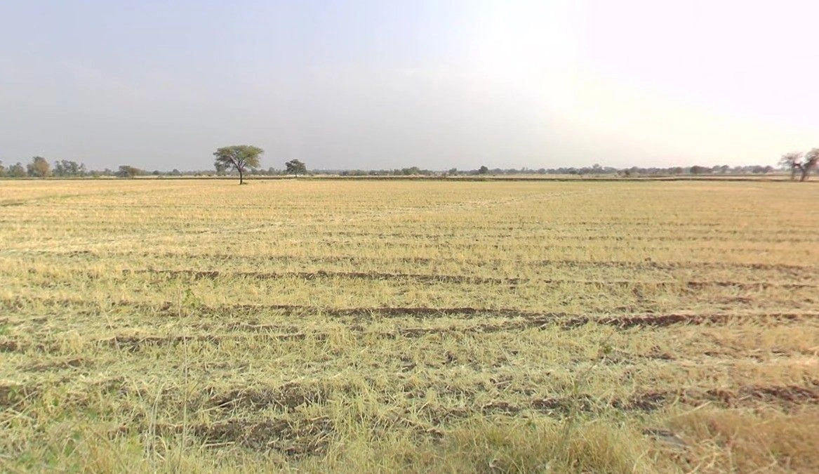 Susner, Madhya Pradesh 465447, India preview 3