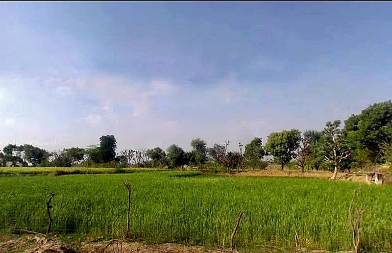 Bassi Naaga, Jaipur, NH-8, Ajmer Road, Jobner, Jobner, Rajasthan 303329, India preview 2