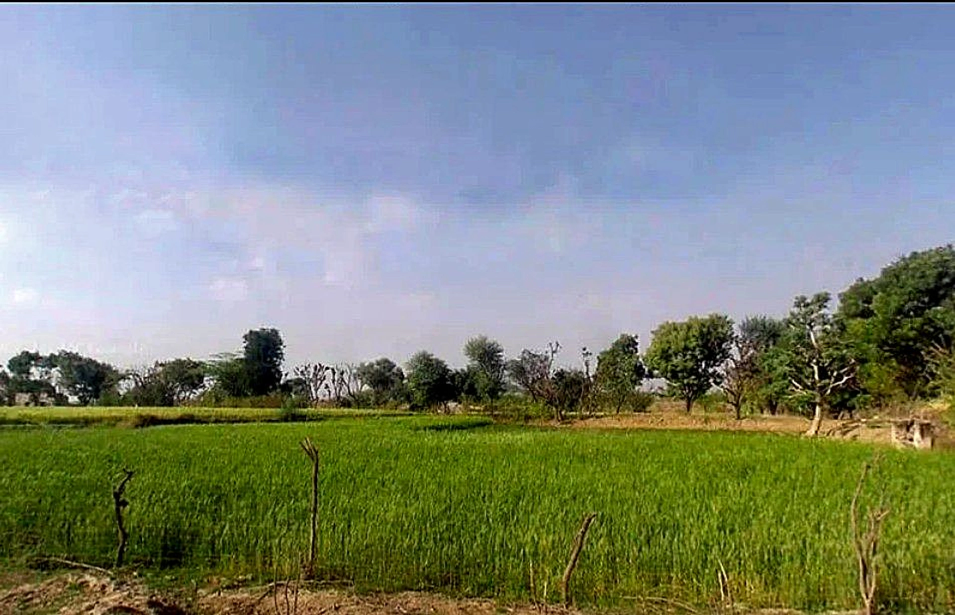 Bassi Naaga, Jaipur, NH-8, Ajmer Road, Jobner, Jobner, Rajasthan 303329, India