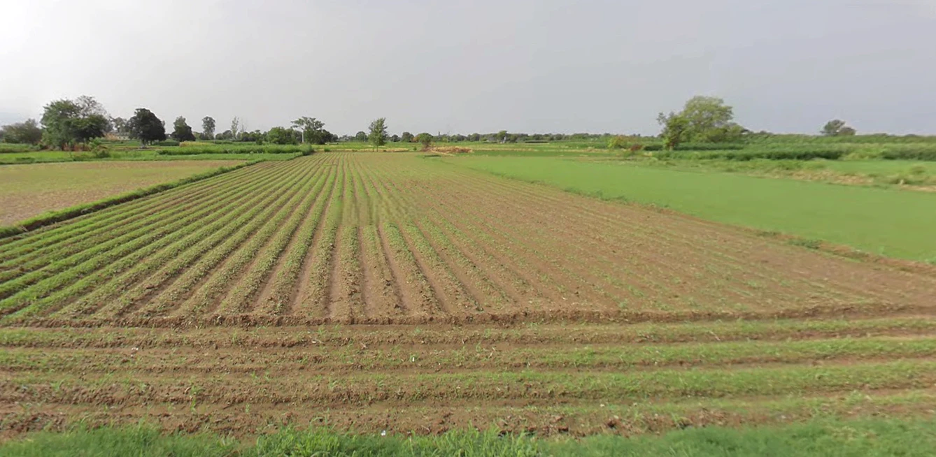 Khizrabad, Punjab 140109, India