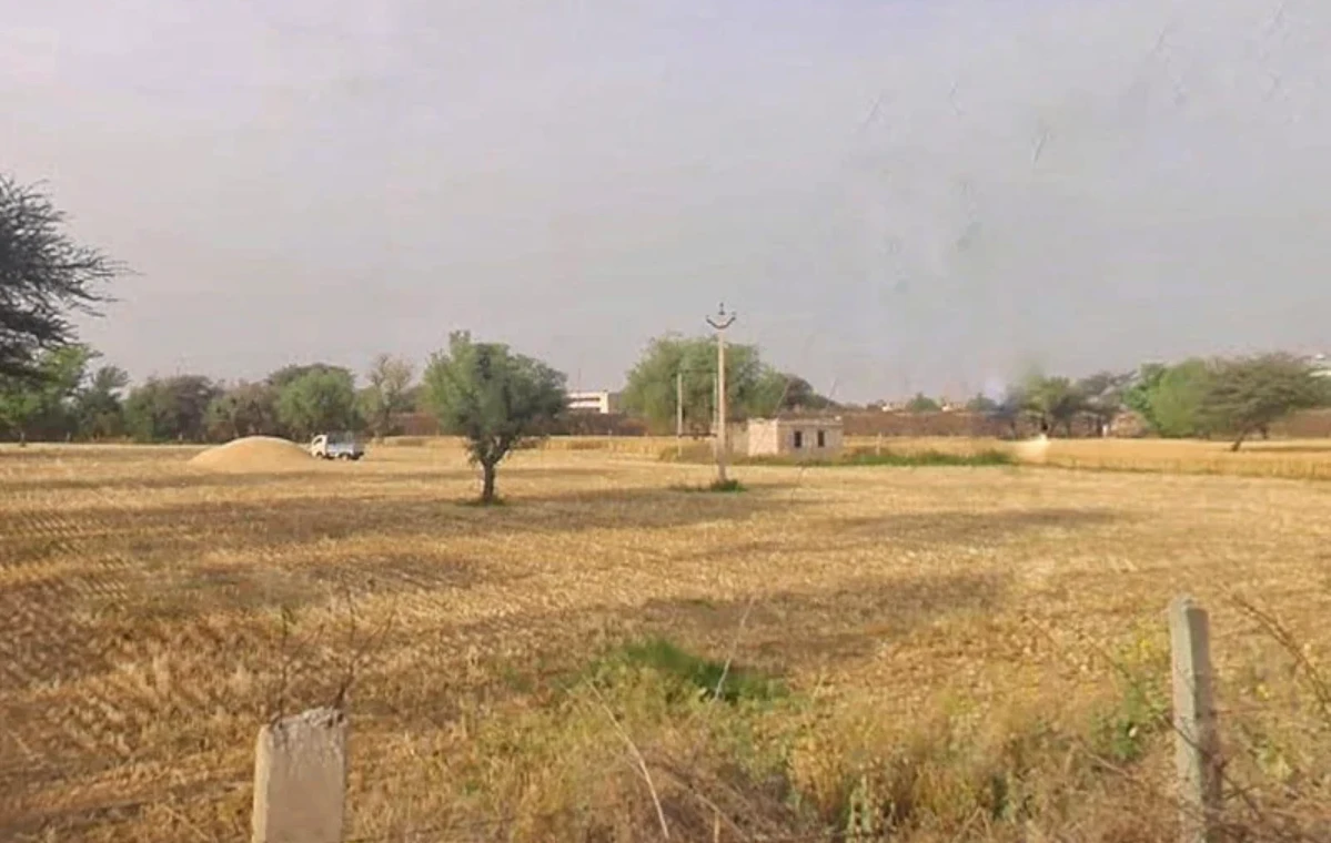 Nathdwara Rd, Nathdwas, Nathdwara, Rajasthan 313301, India