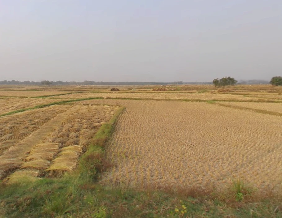 Kasba Narayangarh, West Bengal 721437, India