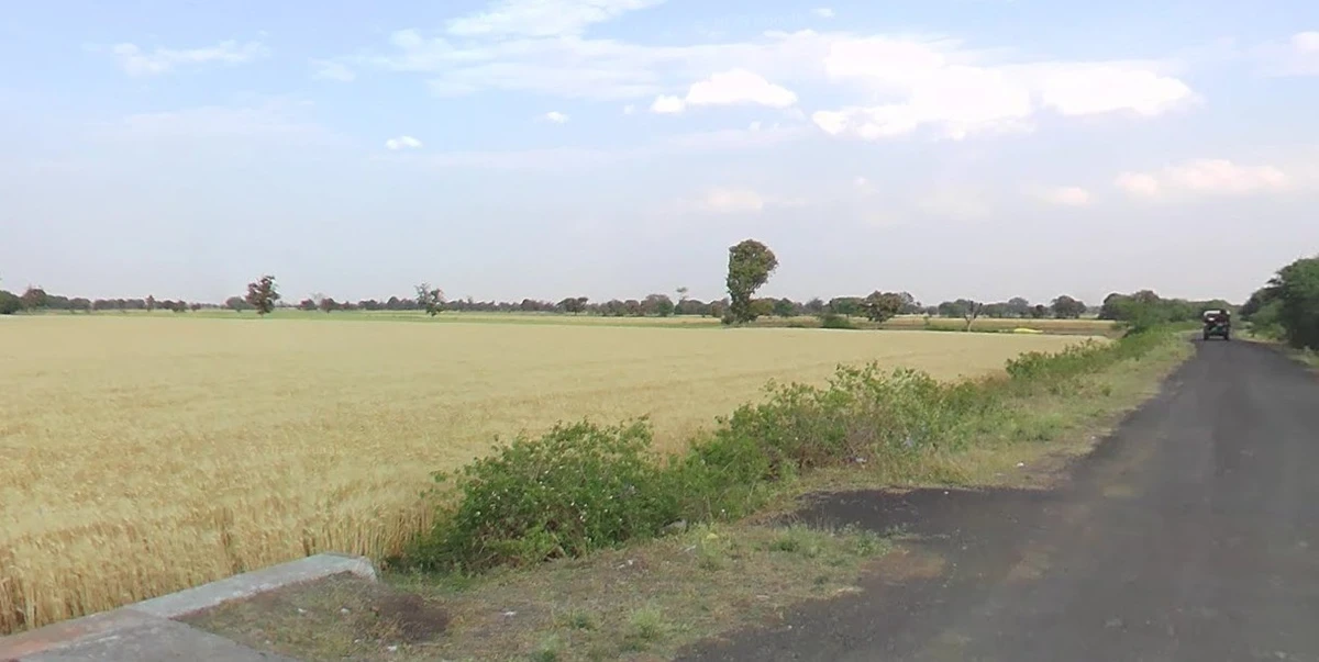 Gondiya, Madhya Pradesh 456006, India