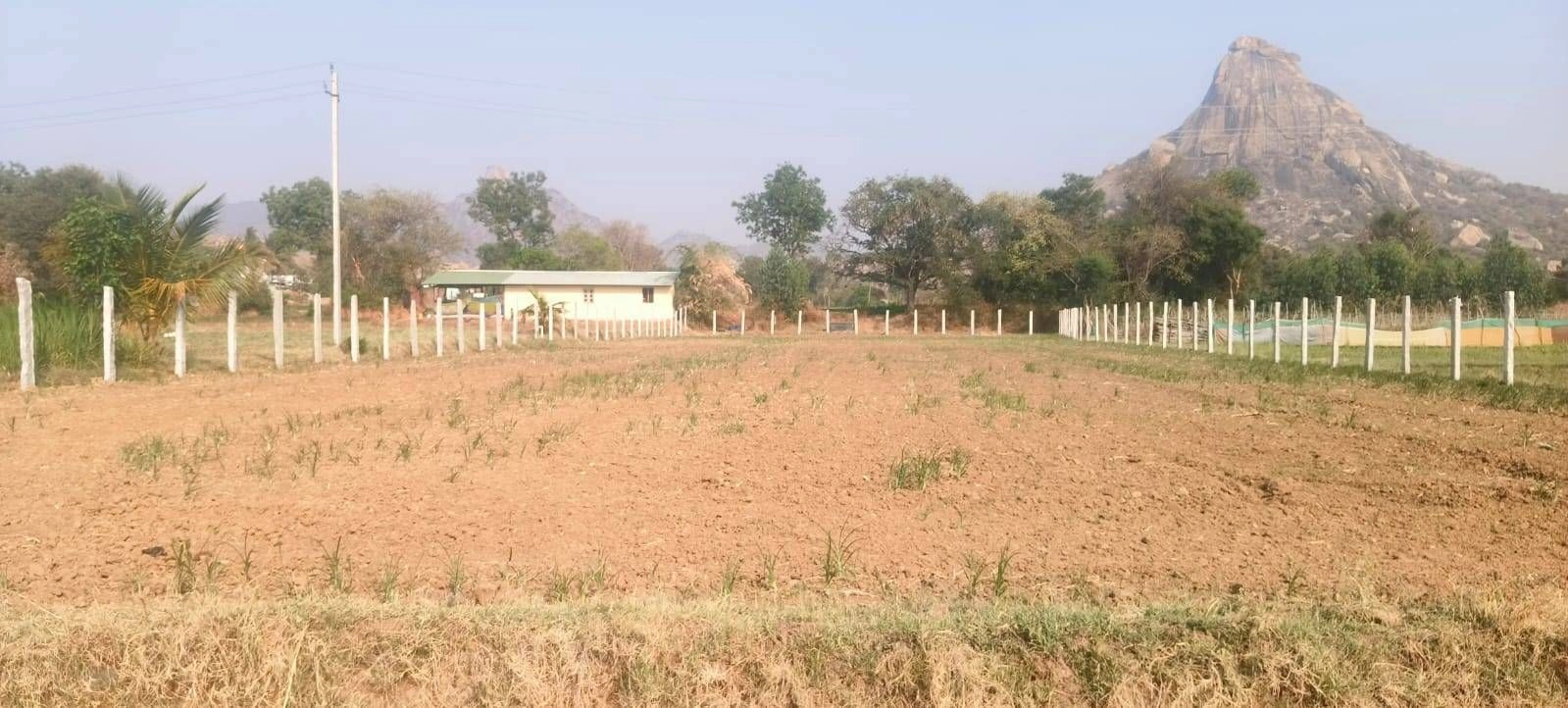 JJQ7+M9 Vaddenahalli, Karnataka, India