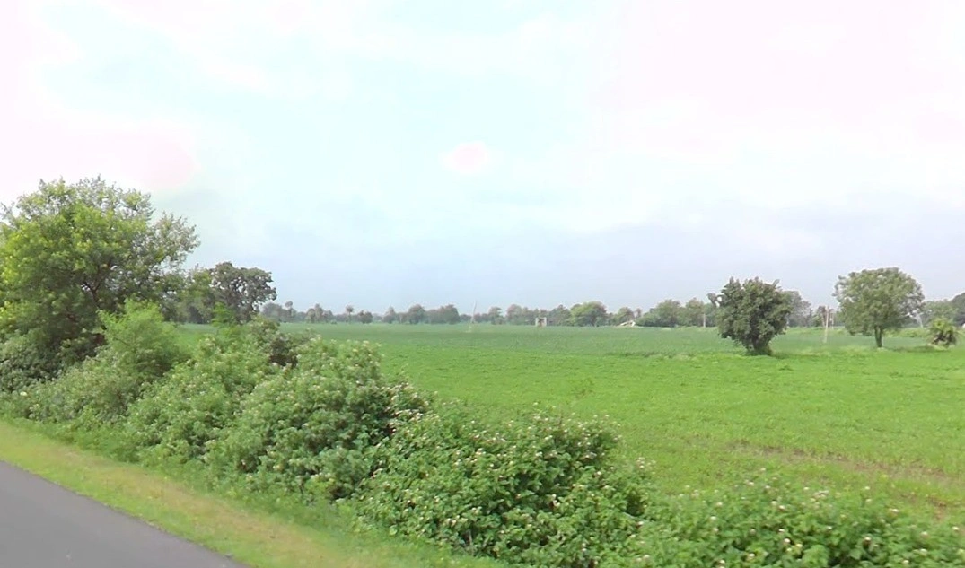 Ratnakhedi, Madhya Pradesh 456006, India