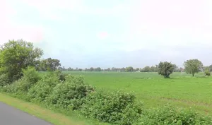 Ratnakhedi, Madhya Pradesh 456006, India preview 2