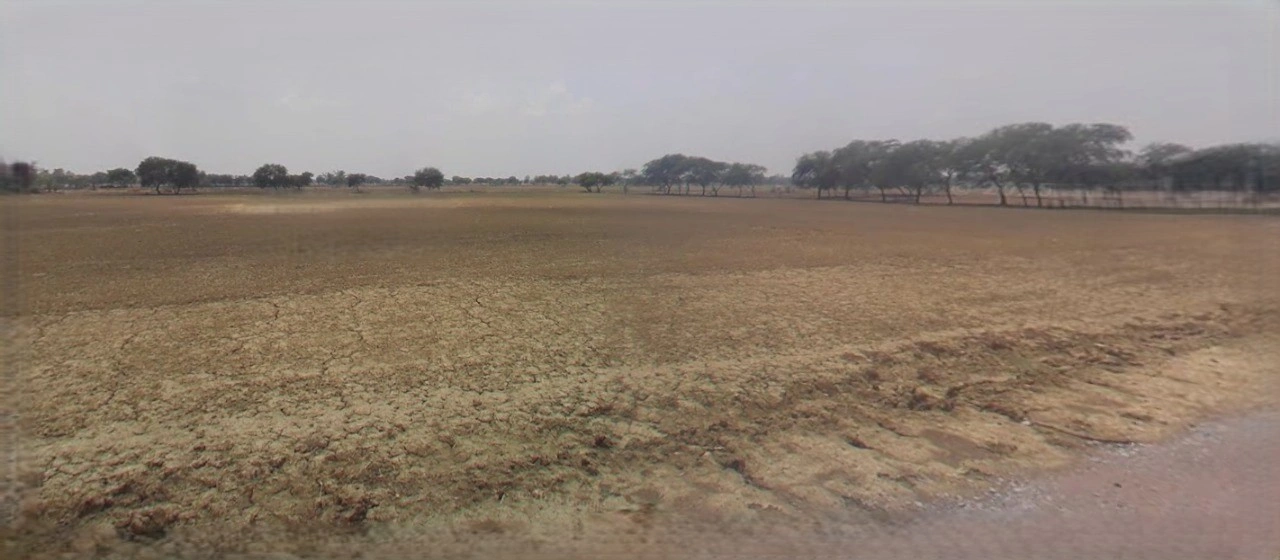 Kharkhoda, Haryana 131402, India