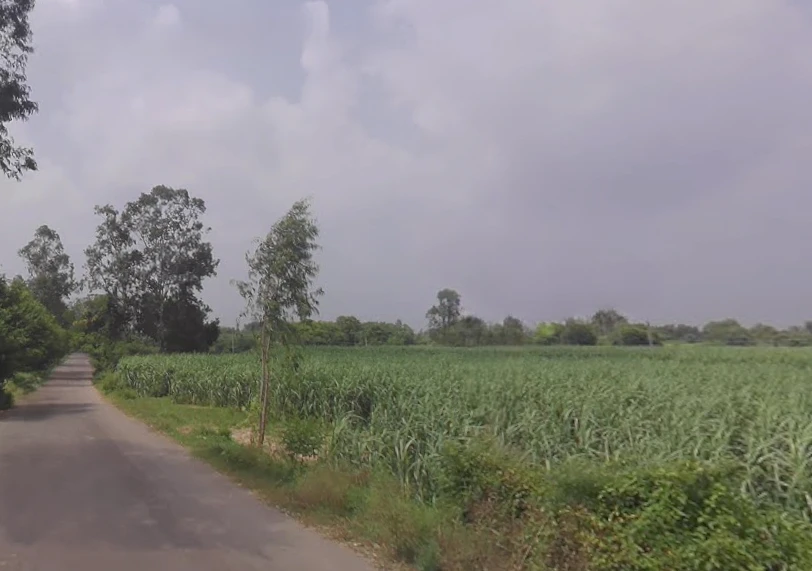 Raipur, Uttar Pradesh 247121, India