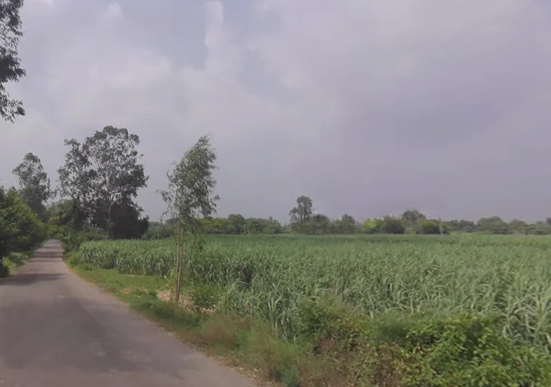 Raipur, Uttar Pradesh 247121, India preview 2