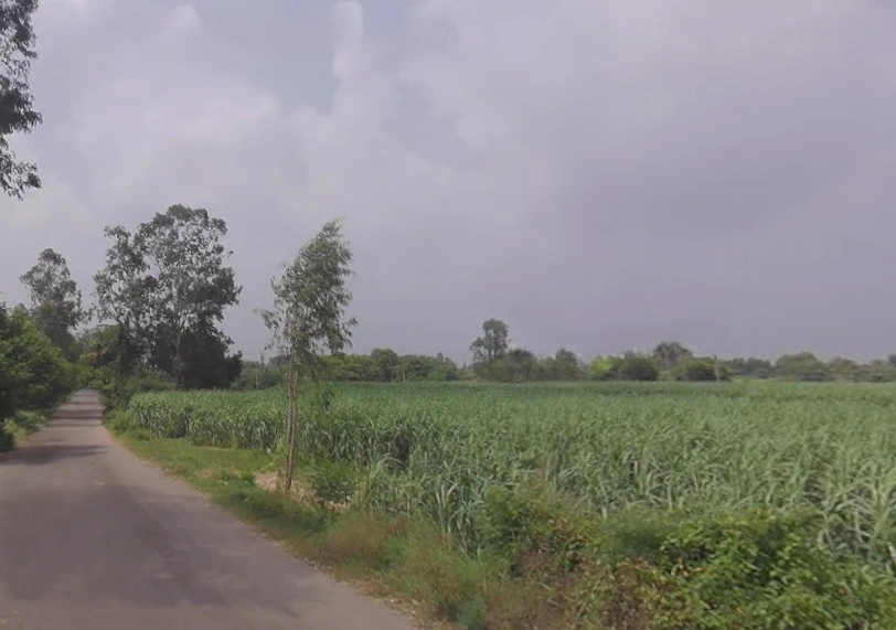 Raipur, Uttar Pradesh 247121, India