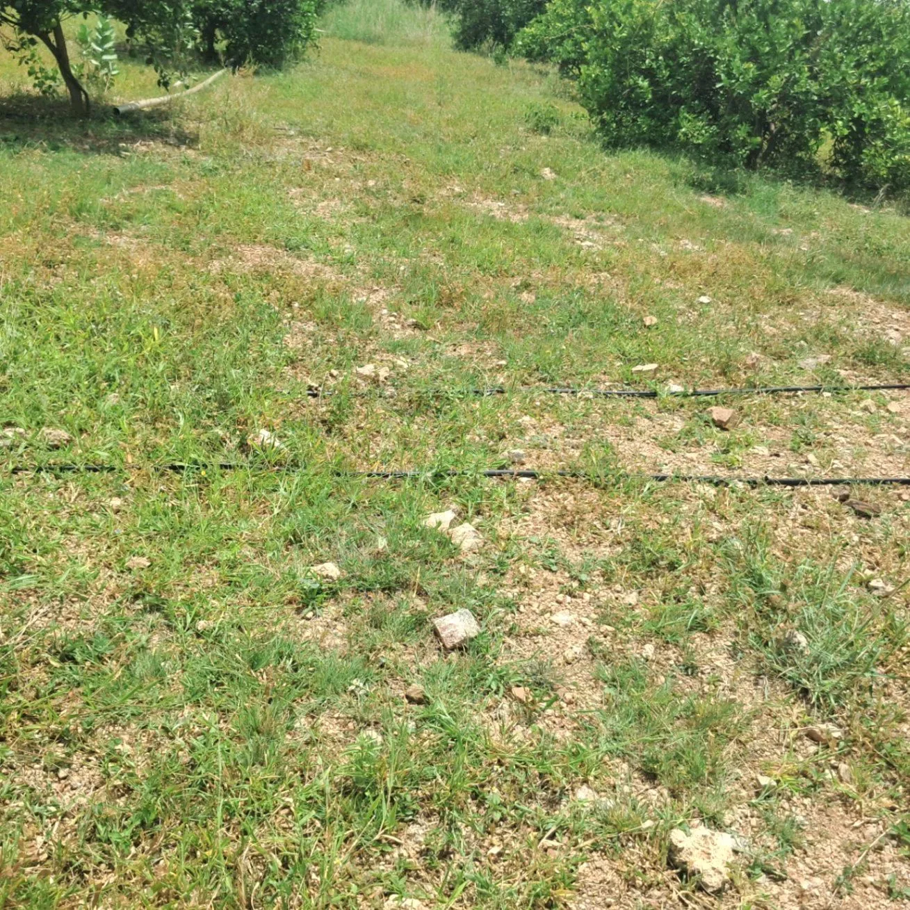 V7VW+C3 Venkatapuram, Nalgonda, Telangana, India