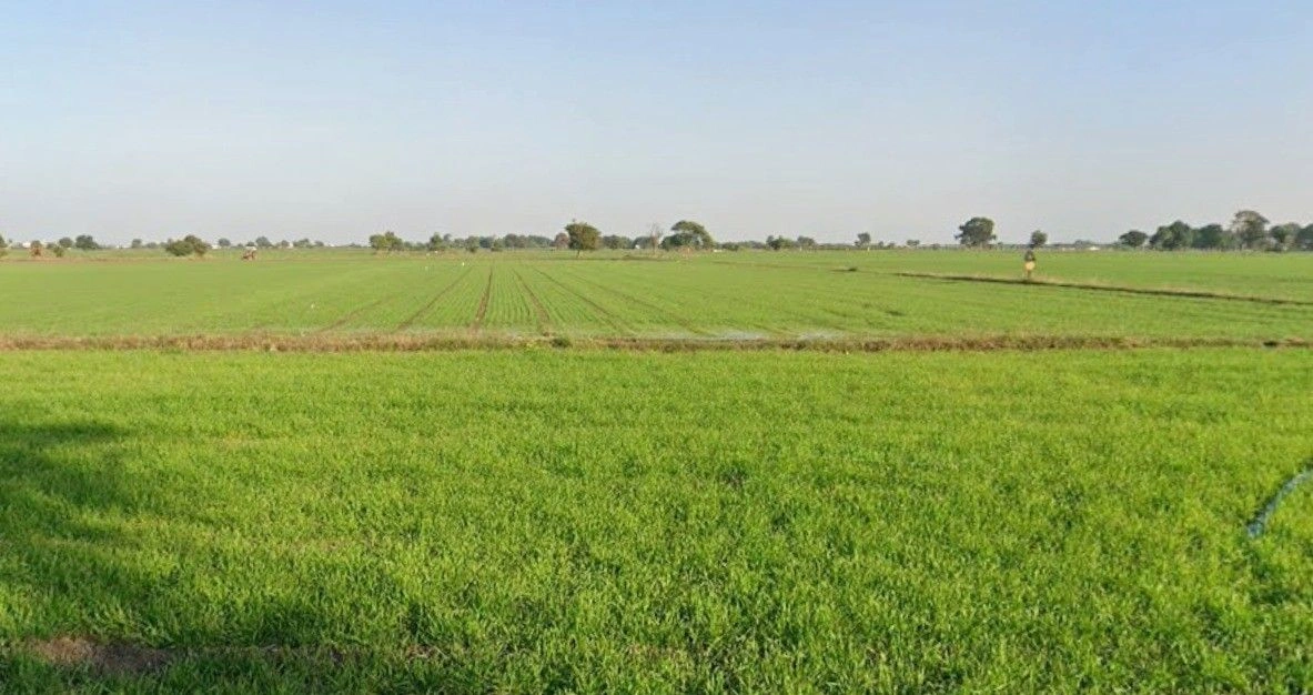 Gopalpura, Madhya Pradesh 475673, India preview 3