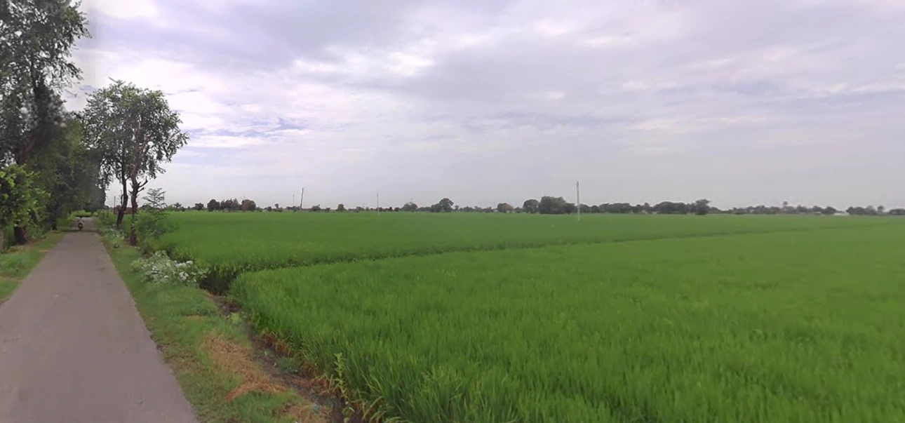 Jagdev Kalan, Punjab 143101, India