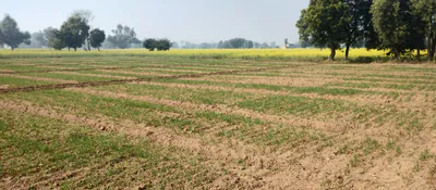 Morinda - Chunni Rd, Bhateri, Punjab, India preview 2