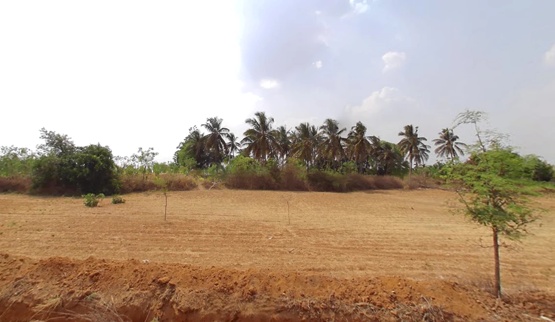 M59R+FH Jogihalli, Karnataka, India