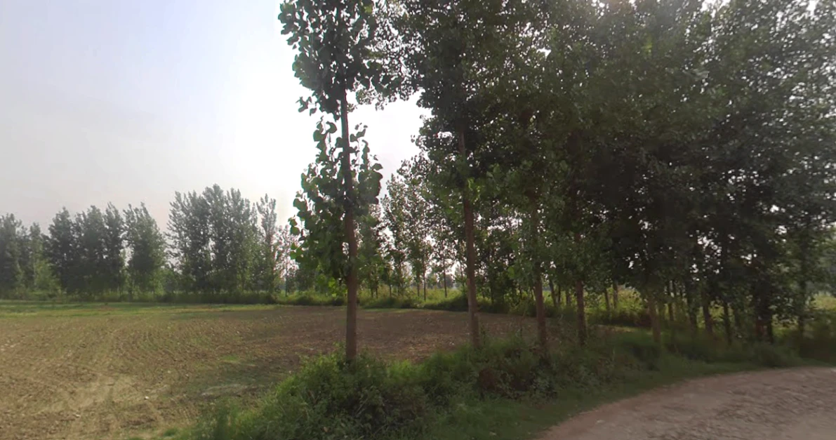 Kanth, Uttar Pradesh 244501, India