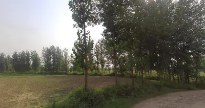 Kanth, Uttar Pradesh 244501, India preview 3