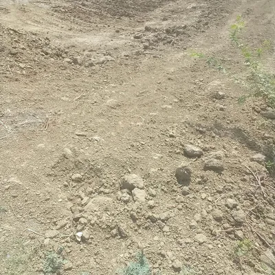 Pachipura Khurd, Konch, Jalaun, Uttar Pradesh, India preview 2