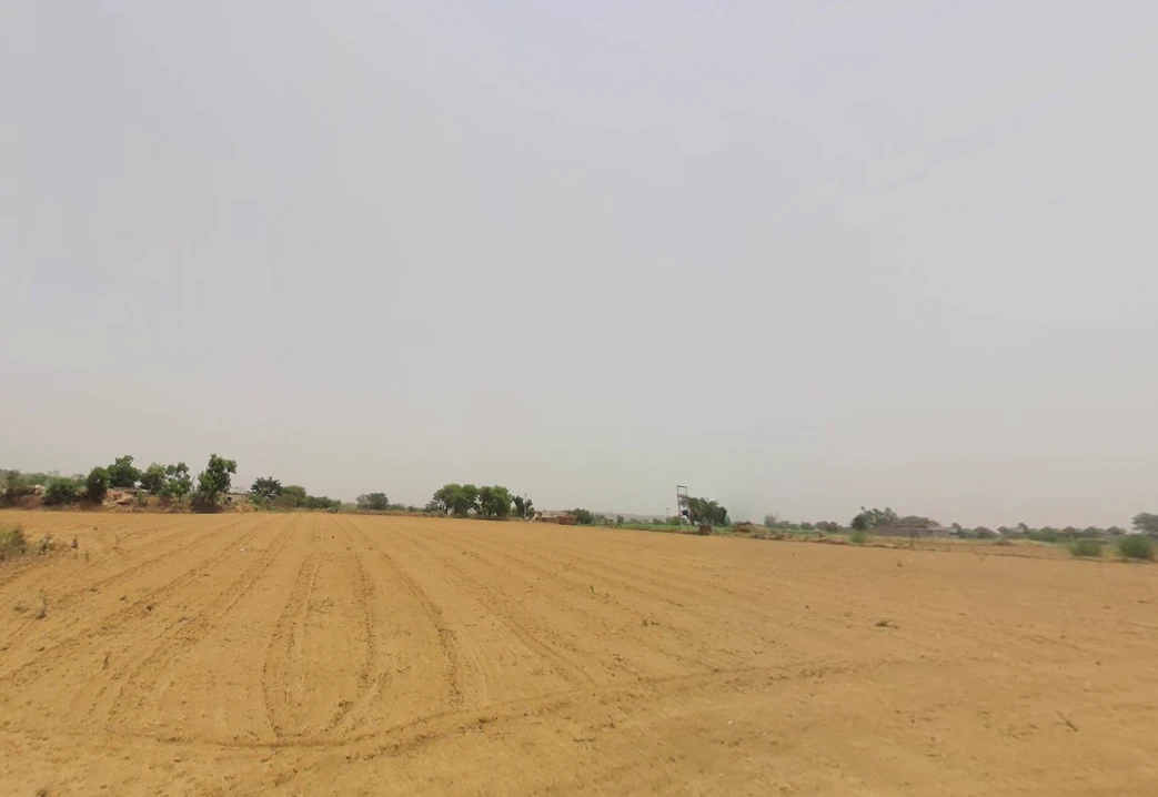 Chuliana, Haryana 124501, India