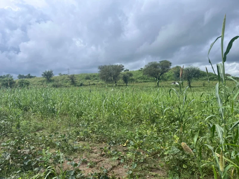 2JGQ+PM Charawas, Rajasthan, India preview 3