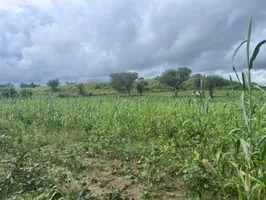 2JGQ+PM Charawas, Rajasthan, India preview 3