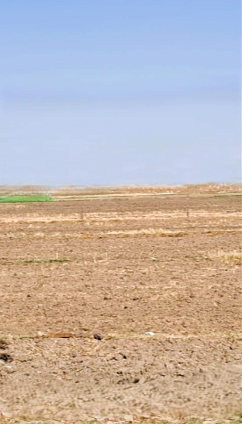Bhopani, Faridabad, Haryana, India