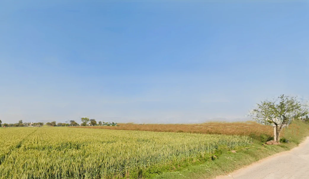 Najafgarh, Delhi, India