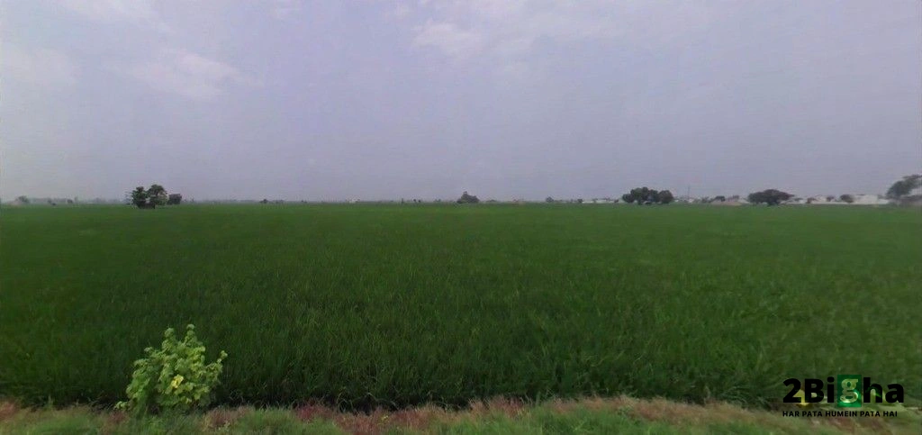 Nissing, Haryana 132024, India