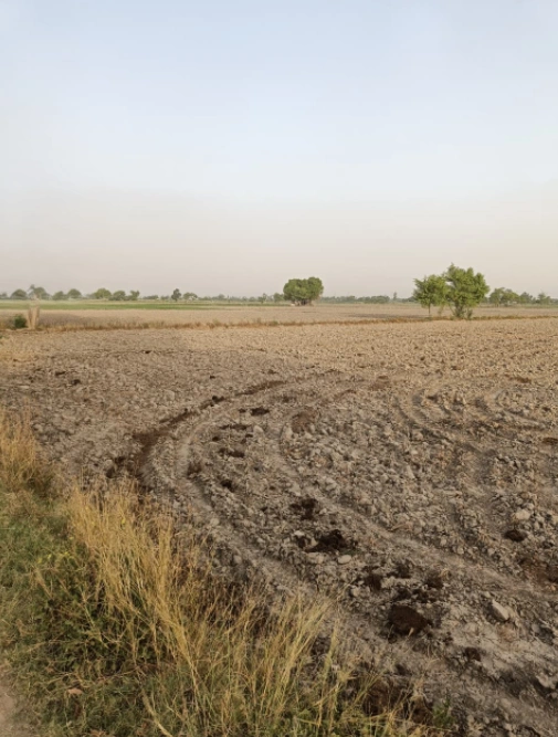 Karala, Punjab 140601, India
